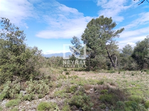 terrain à la vente -   83440  MONTAUROUX, surface 0 m2 vente terrain - UBI440582282